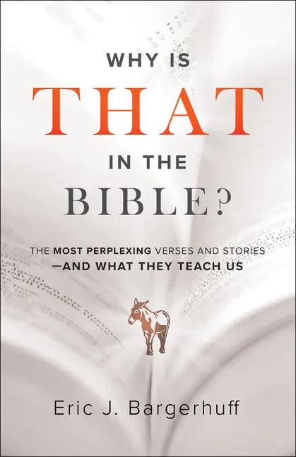Why Is That in the Bible?: The Most Perplexing Verses and Stories--And What They Teach Us - Paperback
