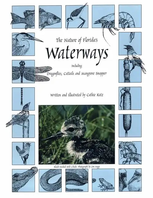 The Nature of Florida's Waterways: Including Dragonflies, Cattails, and Mangrove Snapper - Paperback