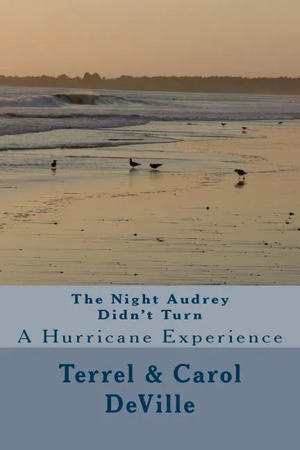 The Night Audrey Didn't Turn: A Hurricane Experience - Paperback
