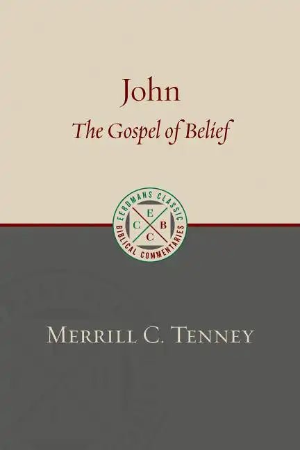 John: The Gospel of Belief: An Analytic Study of the Text - Paperback