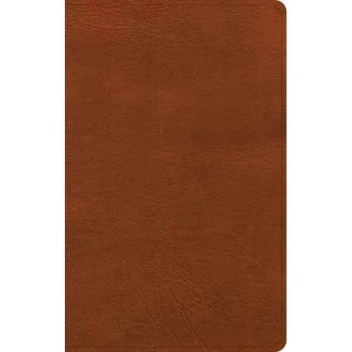 NASB Single-Column Personal Size Bible, Burnt Sienna Leathertouch - Imitation Leather