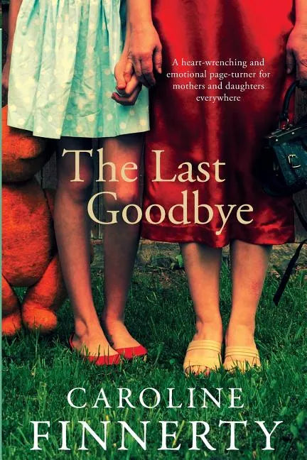 The Last Goodbye - Paperback