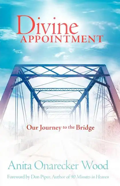 Divine Appointment - Paperback