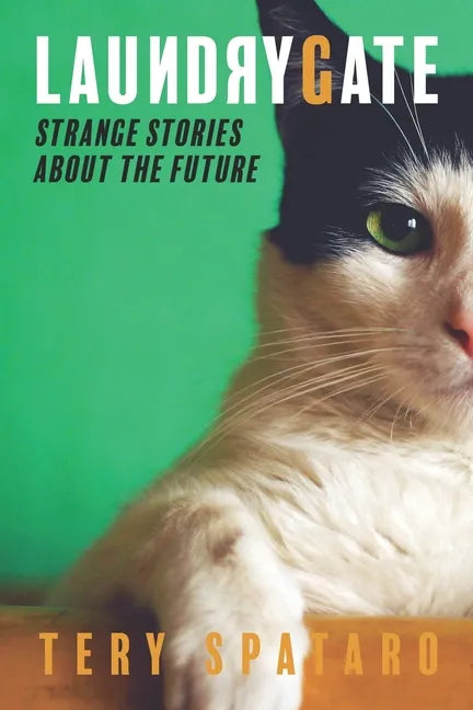 Laundrygate: Strange Stories About the Future - Paperback