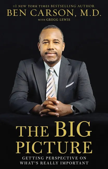 The Big Picture: Getting Perspective on What's Really Important - Paperback