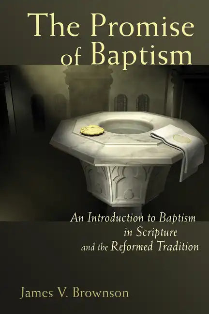 Promise of Baptism: An Introduction to Baptism in Scripture and the Reformed Tradition - Paperback
