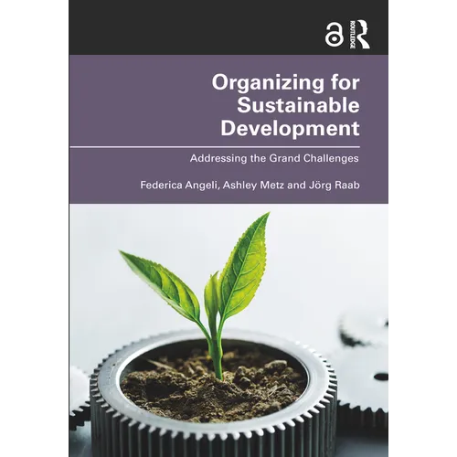 Organizing for Sustainable Development: Addressing the Grand Challenges - Paperback
