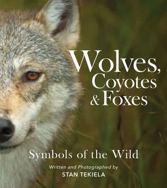 Wolves, Coyotes & Foxes: Symbols of the Wild - Paperback
