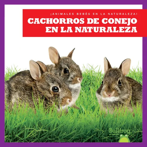 Cachorros de Conejo En La Naturaleza (Rabbit Kits in the Wild) - Paperback