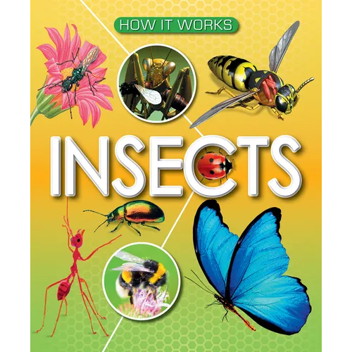 Insects - Paperback