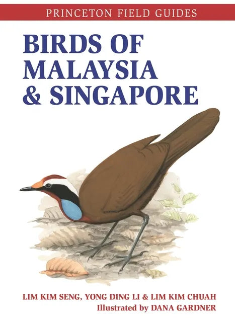 Birds of Malaysia and Singapore - Paperback