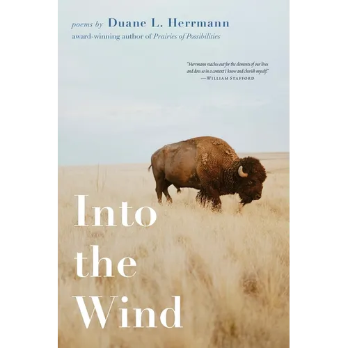 Into the Wind - Paperback