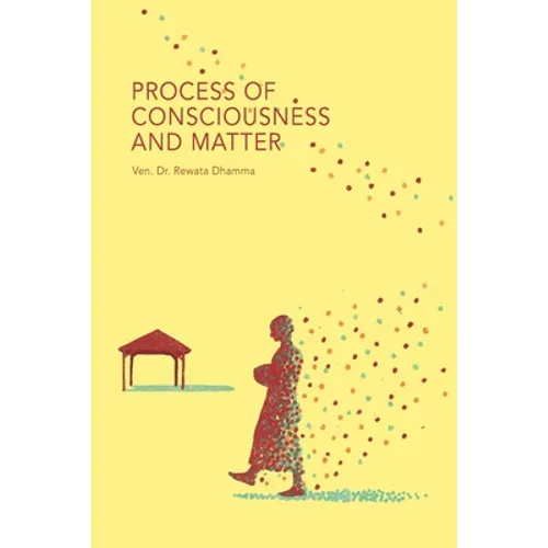 Process of Consciousness and Matter - Paperback