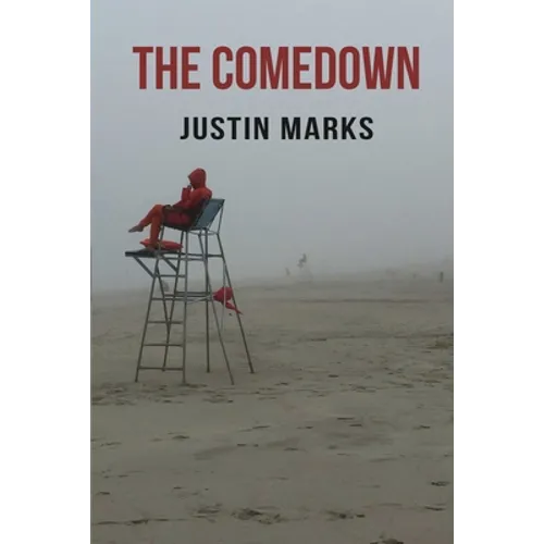 The Comedown - Paperback