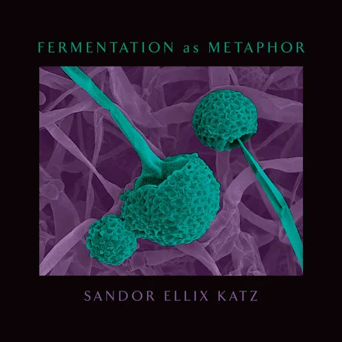 Fermentation as Metaphor: From the Author of the Bestselling the Art of Fermentation - Hardcover