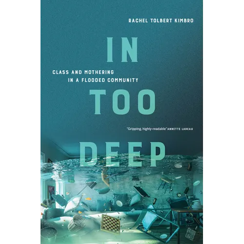 In Too Deep: Class and Mothering in a Flooded Community - Paperback