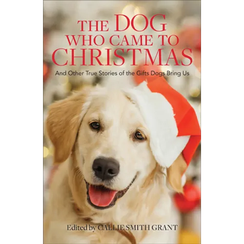 Dog Who Came to Christmas - Hardcover
