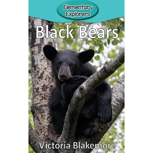 Black Bears - Hardcover