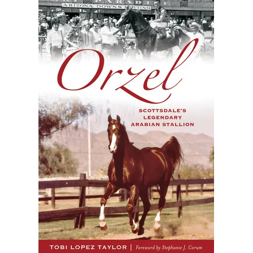 Orzel: Scottsdale's Legendary Arabian Stallion - Paperback
