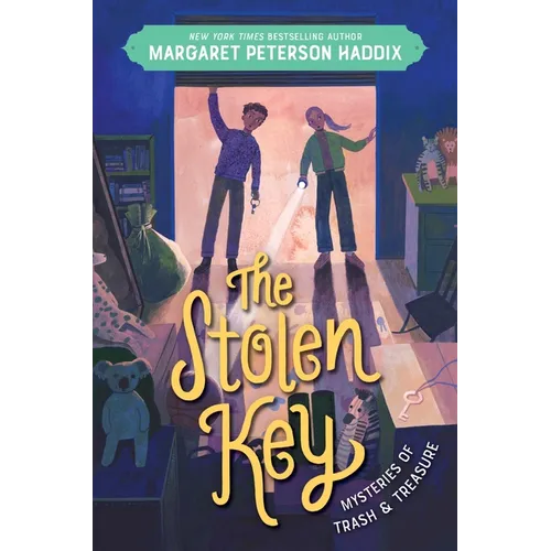Mysteries of Trash and Treasure: The Stolen Key - Hardcover