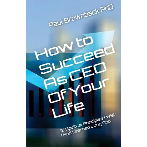How to Succeed as CEO of Your Life: 12 Spiritual Principles I Wish I Had Learned Long Ago - Paperback