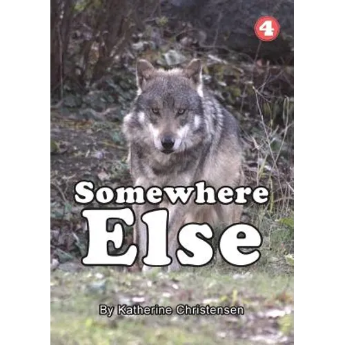 Somewhere Else - Paperback