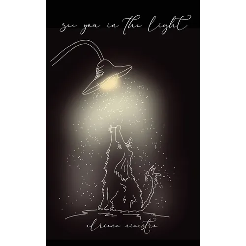 see you in the light - Paperback