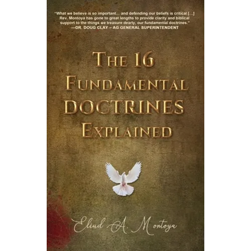 The 16 Fundamental Doctrines Explained - Hardcover