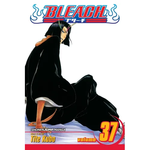 Bleach, Vol. 37: Beauty Is So Solitary - Paperback