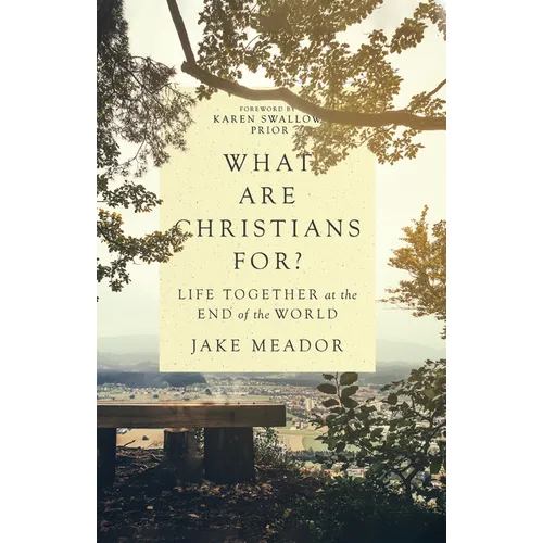 What Are Christians For?: Life Together at the End of the World - Hardcover