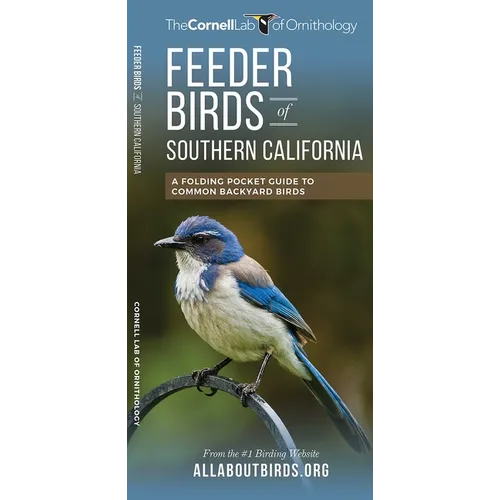 Feeder Birds of Southern California: A Folding Pocket Guide to Common Backyard Birds - Paperback