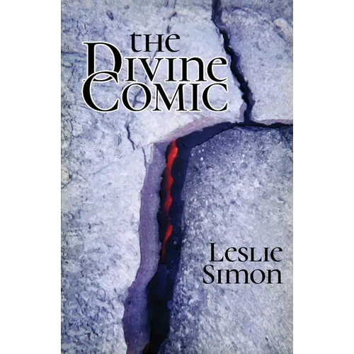 The Divine Comic - Paperback