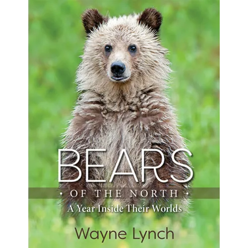 Bears of the North: A Year Inside Their Worlds - Hardcover