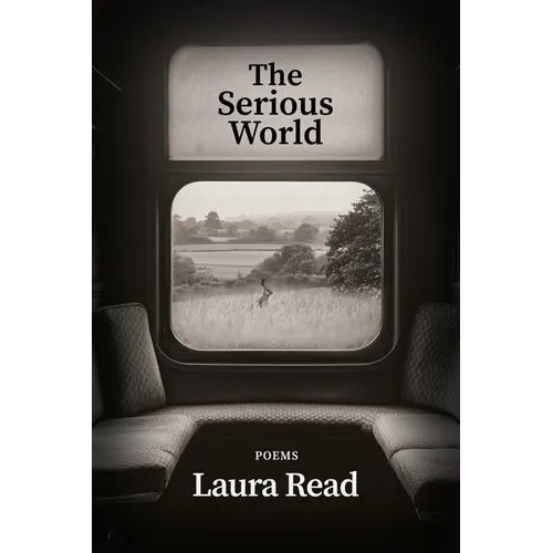 The Serious World - Paperback