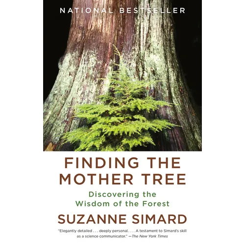 Finding the Mother Tree: Discovering the Wisdom of the Forest - Paperback