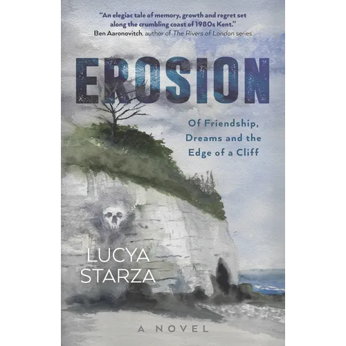 Erosion: Of Friendship, Dreams and the Edge of a Cliff - A Novel - Paperback