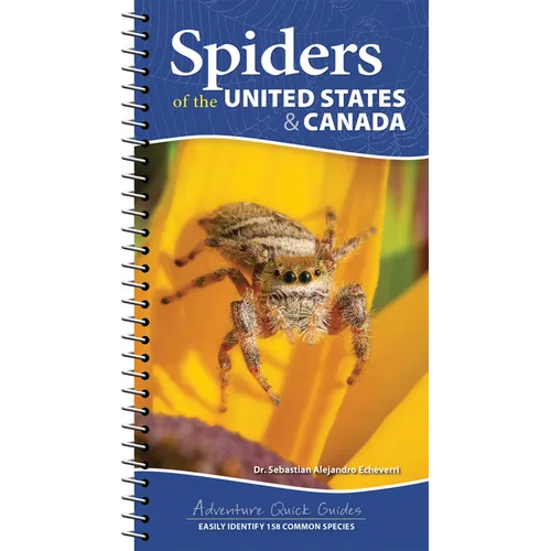 Spiders of the United States & Canada: Easily Identify 158 Common Species - Spiral