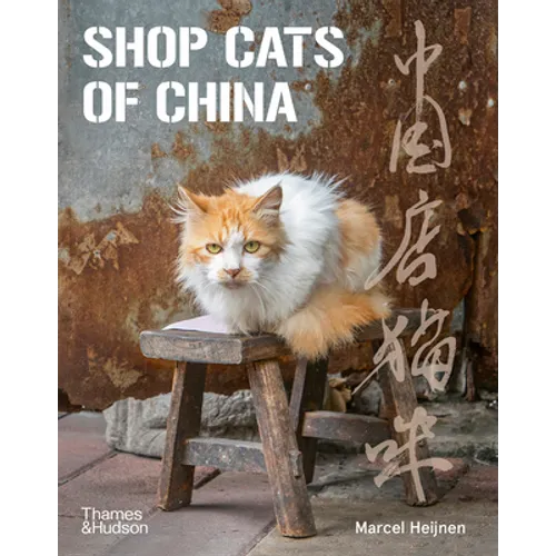 Shop Cats of China - Paperback