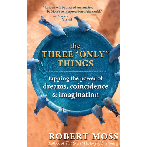 The Three Only Things: Tapping the Power of Dreams, Coincidence, and Imagination - Paperback