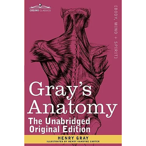 Gray's Anatomy: Descriptive and Surgical - Paperback