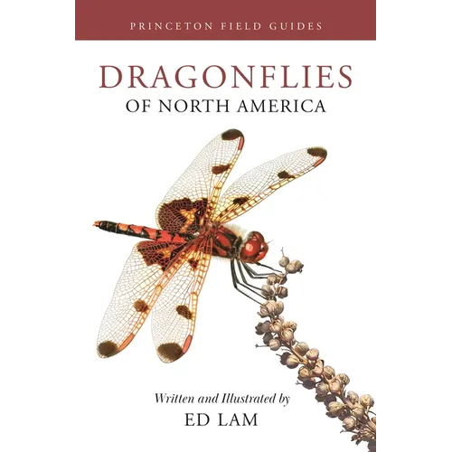 Dragonflies of North America - Paperback
