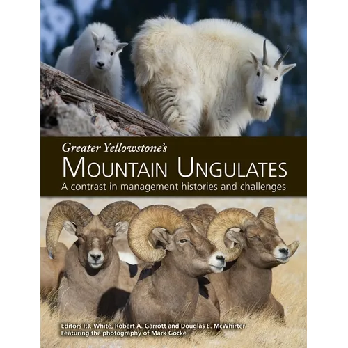 Greater Yellowstone's Mountain Ungulates: A Contrast in Management Histories and Challenges: A - Paperback