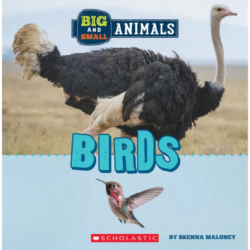 Birds (Wild World: Big and Small Animals) - Paperback