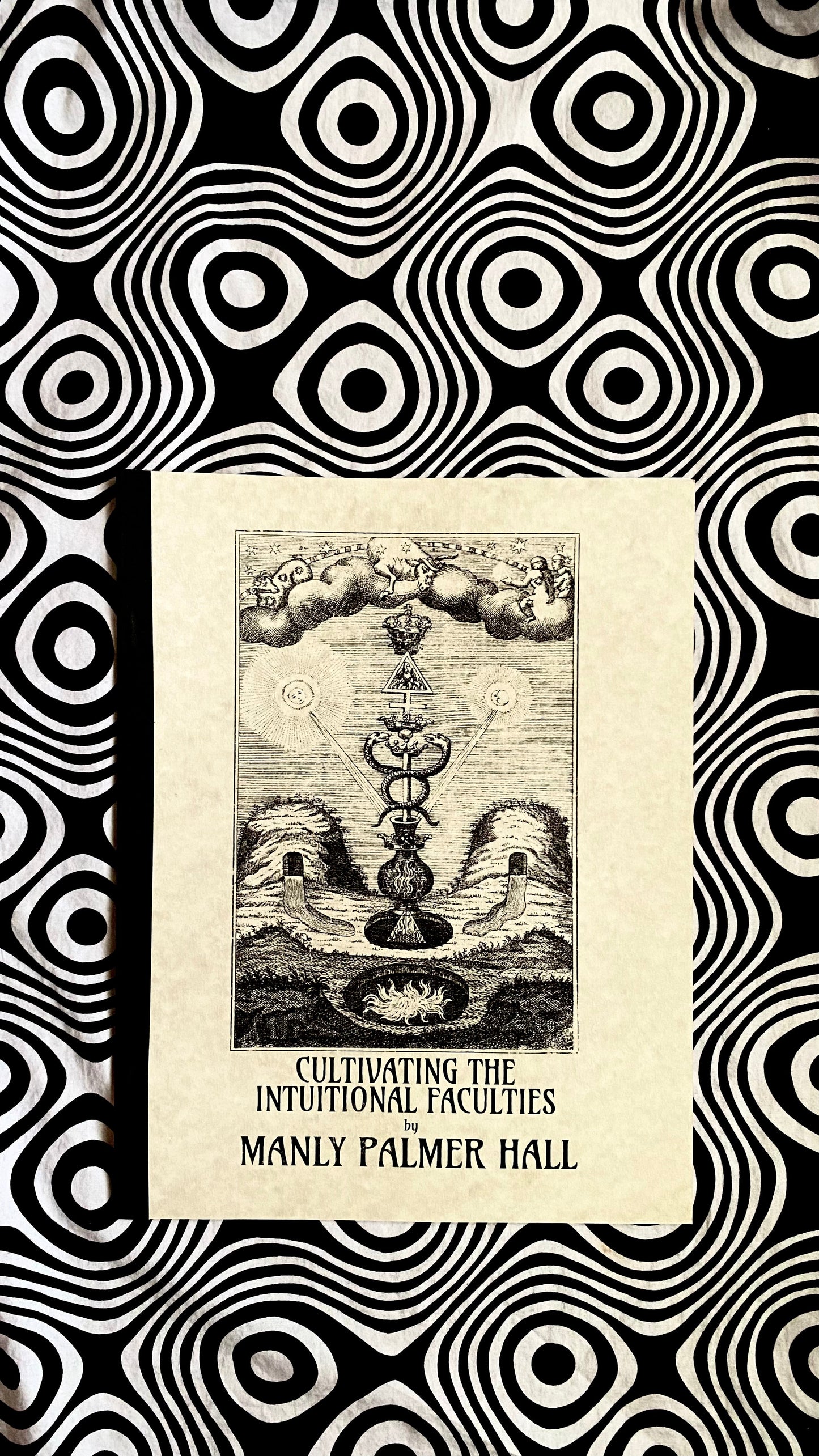 Cultivating the Intuitional Faculties — Manly P. Hall