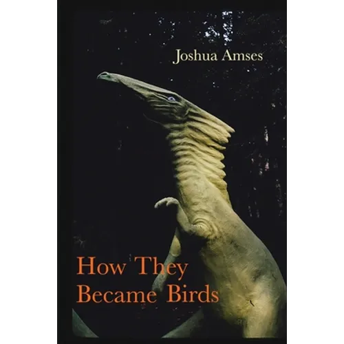 How They Became Birds - Paperback