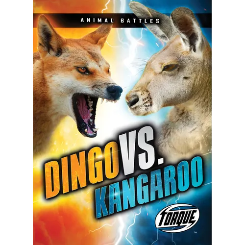 Dingo vs. Kangaroo - Paperback