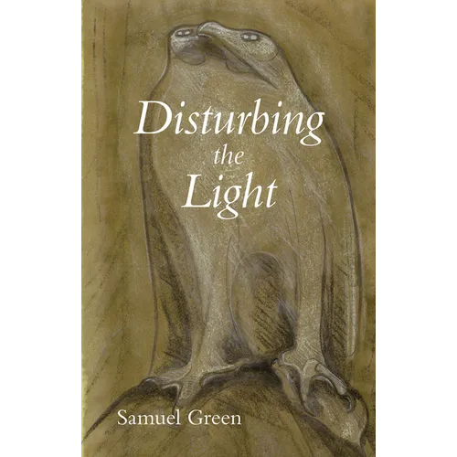 Disturbing the Light - Paperback
