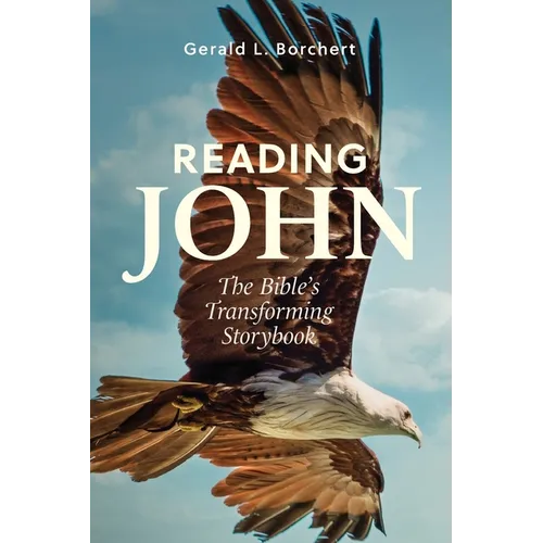 Reading John: The Bible's Transforming Storybook - Paperback