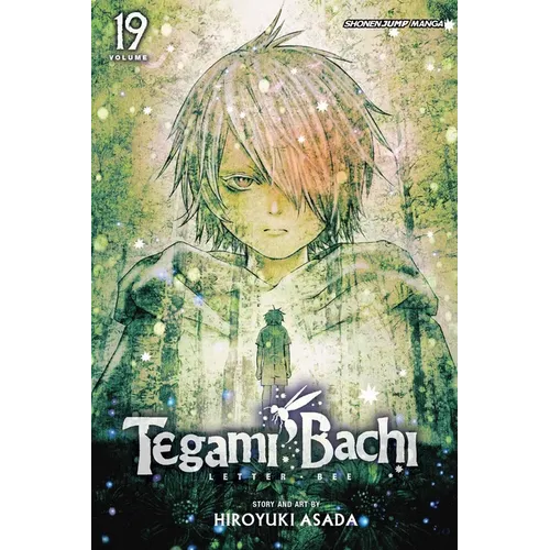 Tegami Bachi, Vol. 19: Akatsuki, the Capital - Paperback