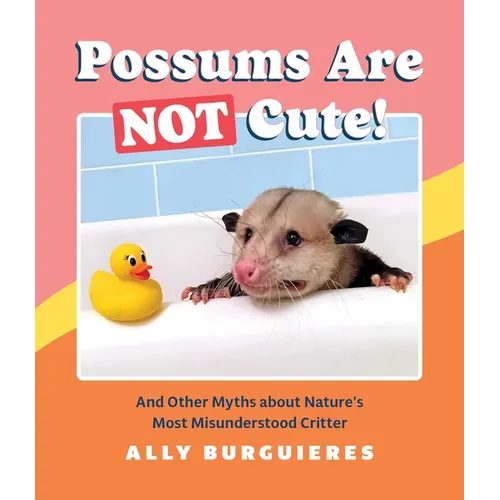 Possums Are Not Cute!: And Other Myths about Nature's Most Misunderstood Critter - Hardcover